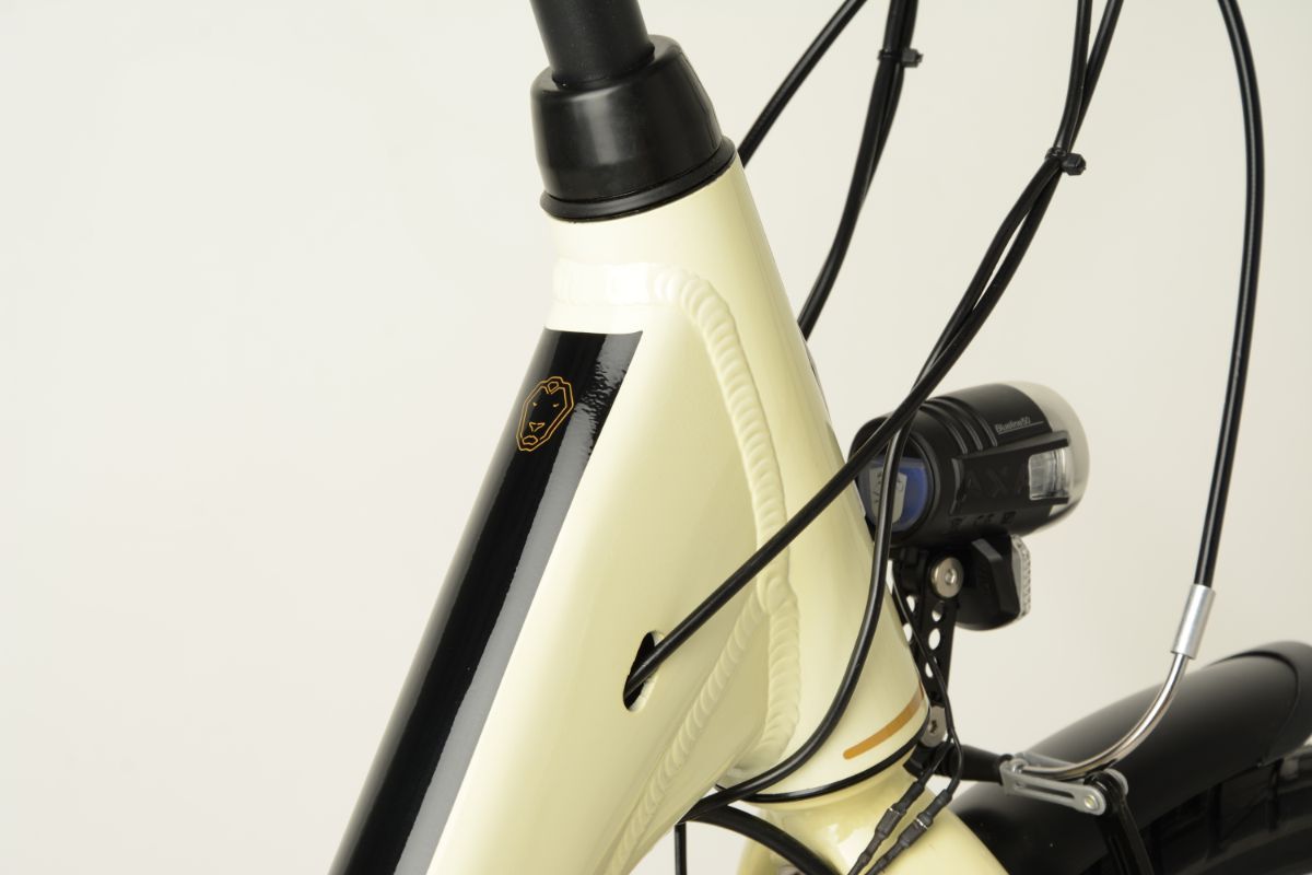 Leone 2020 DT Arrow